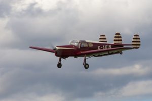 3 tail_fins_6
