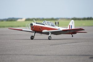 _DSC1230